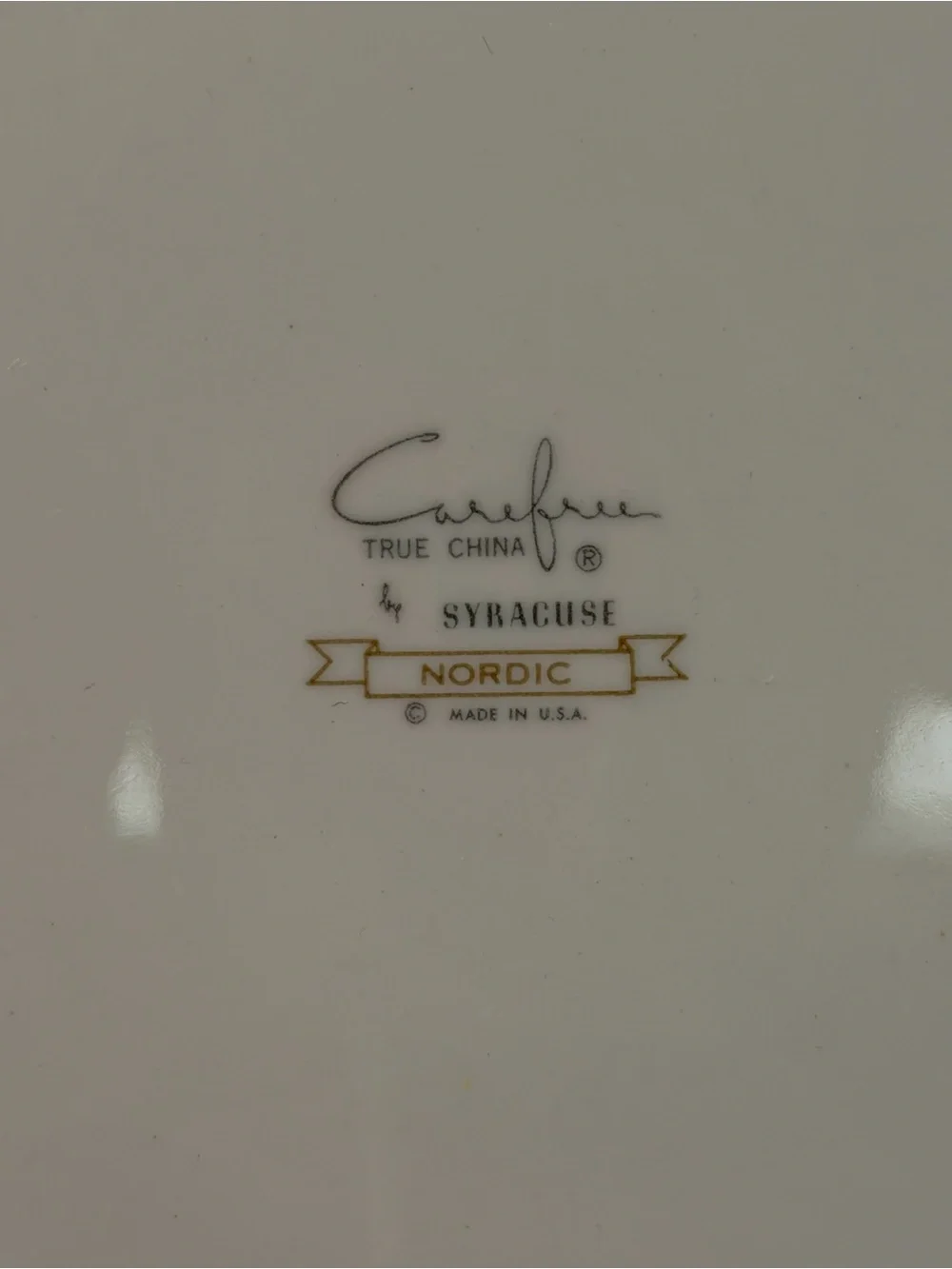 Carefree True China vintage dinner
